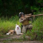 pexels-joelsantosfotografias-35407384